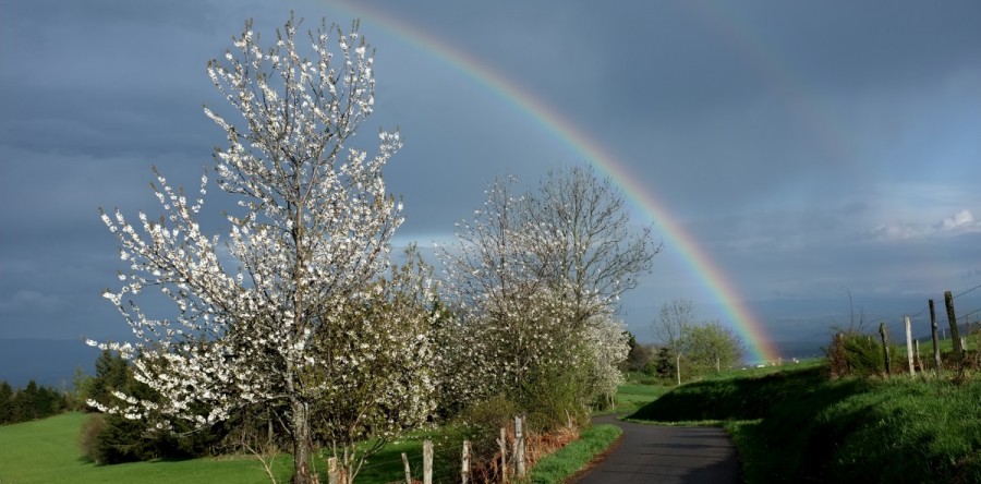 Orages de printemps