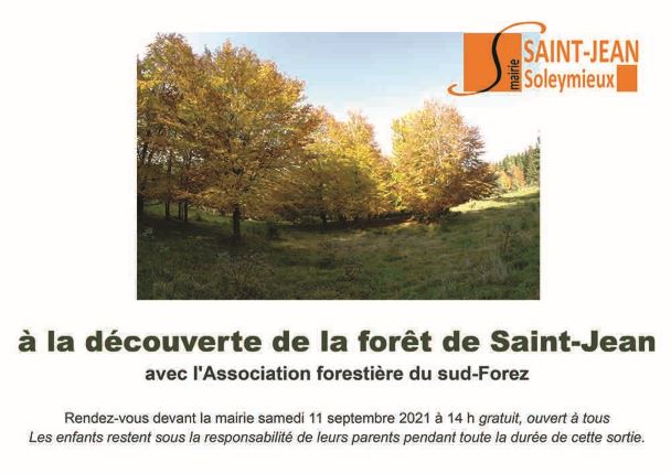 Sortie en forêt