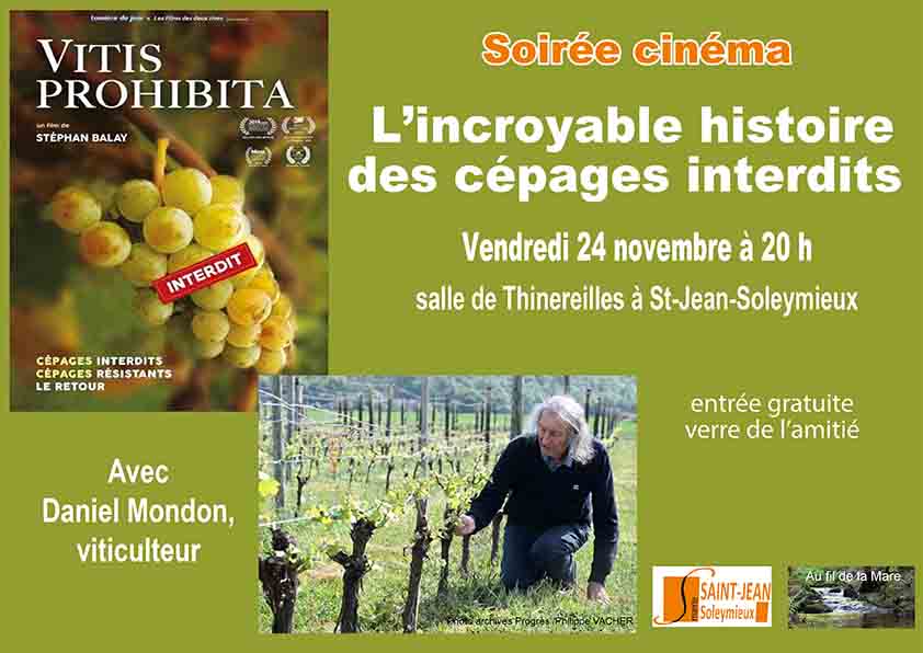 Soirée cinéma le 24/11
